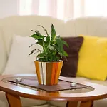 Apartment House *